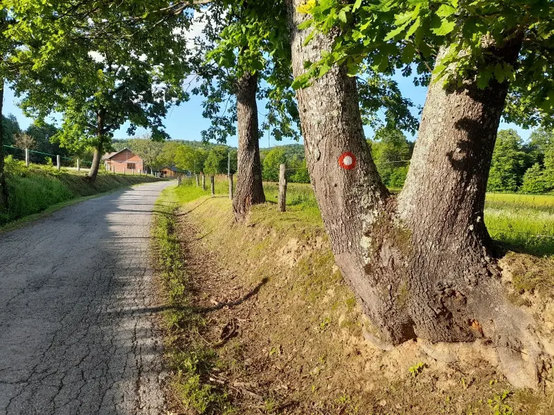 Etapno po SPP-u – Bálint Őrsi 2/3