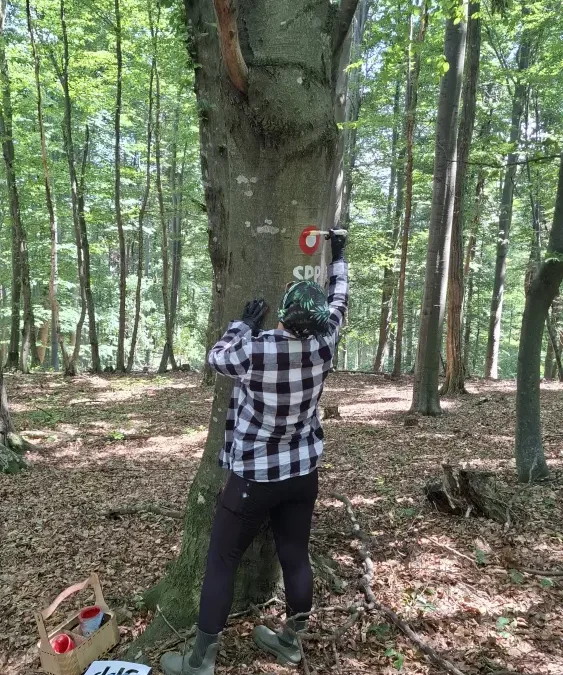 DVIJE STAZE U POTPUNOSTI DOVRŠENE I PROBIJENA DEVASTIRANA DIONICA NA SPP-u